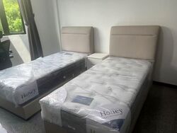 Fragrance Court (D5), Apartment #560345261